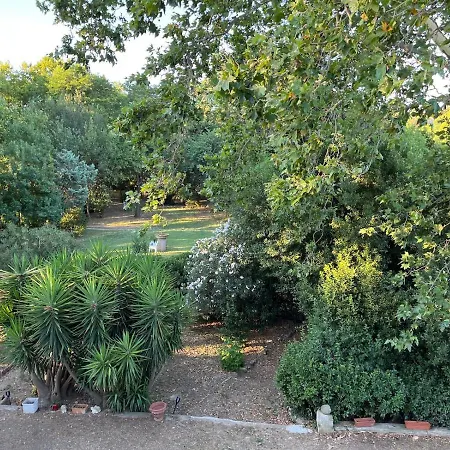 Sci Domaine Saint Martin Le Grand Beziers