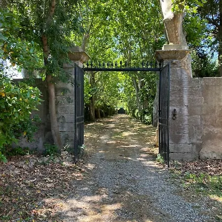 Sci Domaine Saint Martin Le Grand Béziers