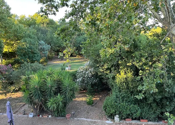 Domaine Saint Martin Le Grand Béziers